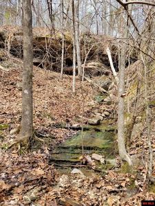 17 Deer Crossing Ln, Yellville, AR, 72687