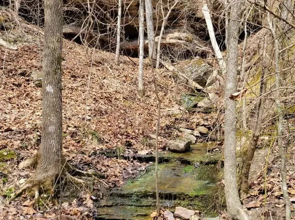 17 Deer Crossing Ln, Yellville, AR 72687