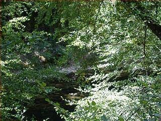 1st image of 12315 Irwin Way