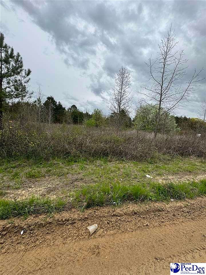 852 Norwood Rd, Olanta, SC 29114 Zillow