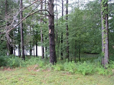 2nd image of 4941 Kinsale Ct