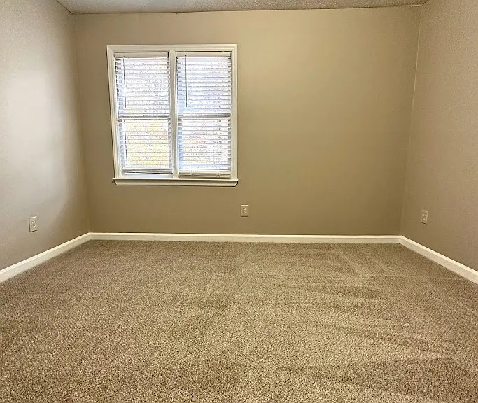 6611 English Ivy Ln — Photo 10