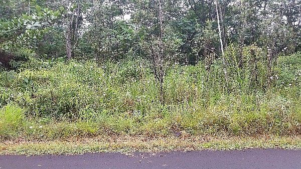 1st image of 27th Ave Lot 727