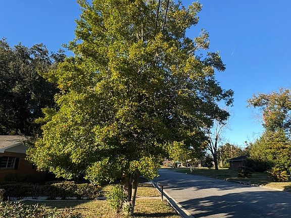 5th image of 2603 Cleburne St