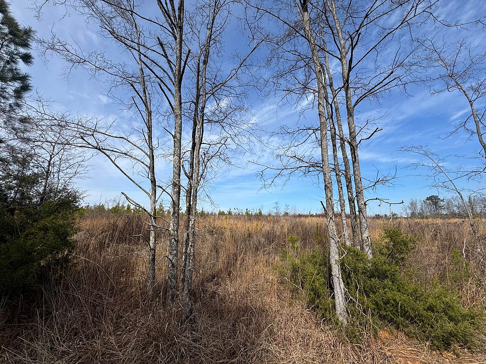 2nd image of 0 Ouzts Rd