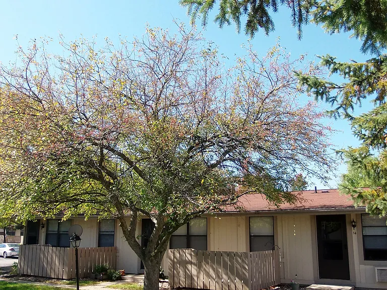 Springwood — Photo 4