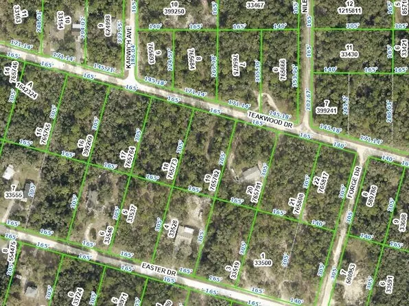 0 Teakwood Dr, Webster, FL 33597