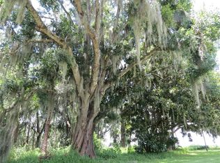 3505 Bell Farms Dr, Plant City, FL 33566