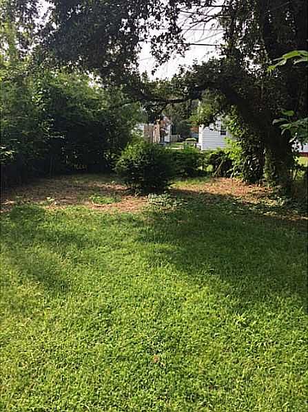2nd image of 44 Hobson St