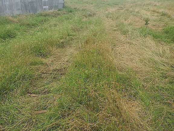 3rd image of 21010 E Highway 28a