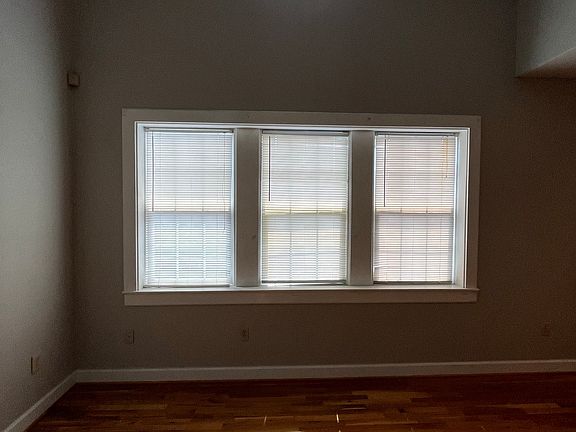 Living room windows