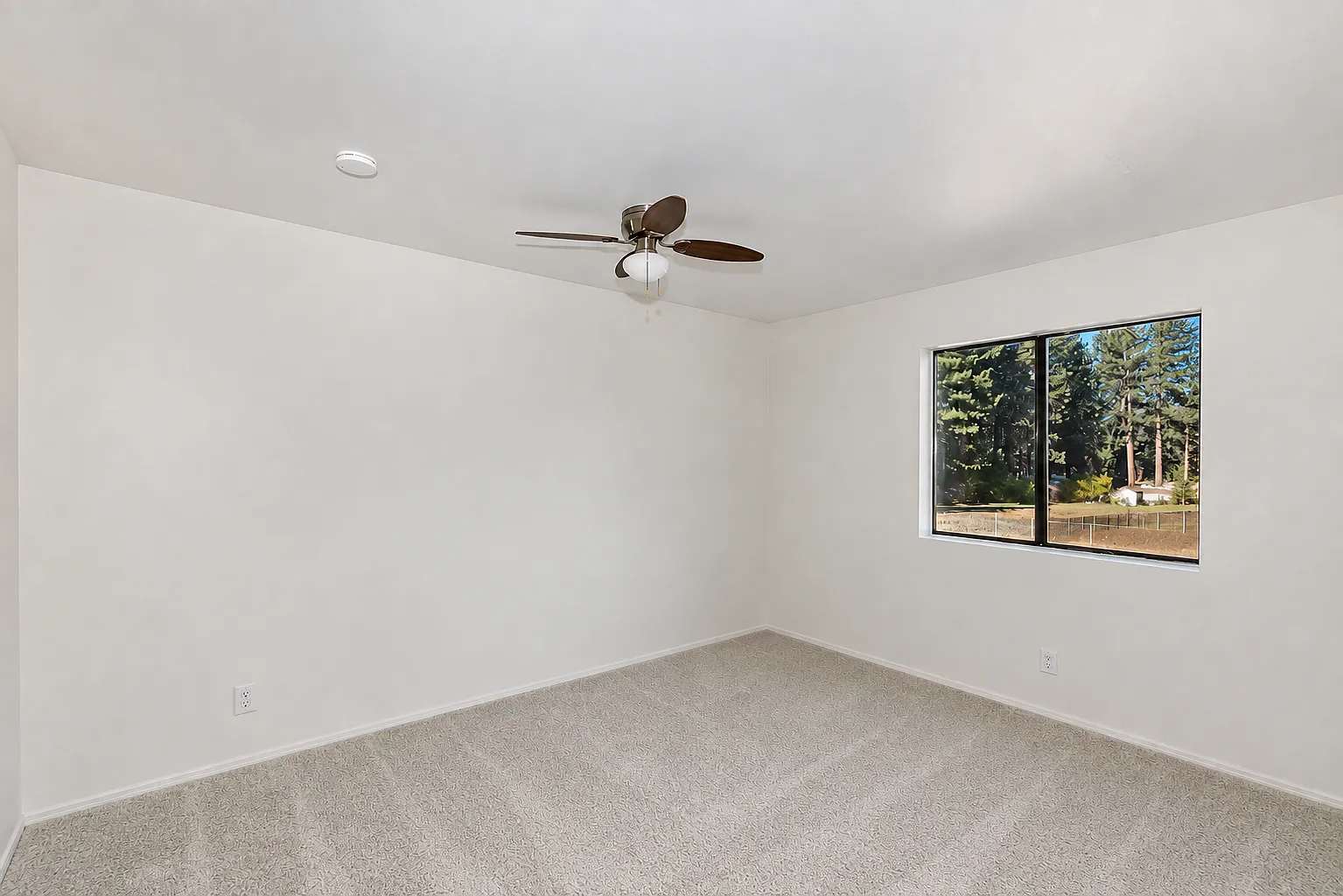 1 bed, 560 sqft, $1,500 — Photo 3
