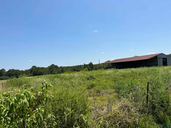 259 Collins Rd, Hallsville, TX 75650