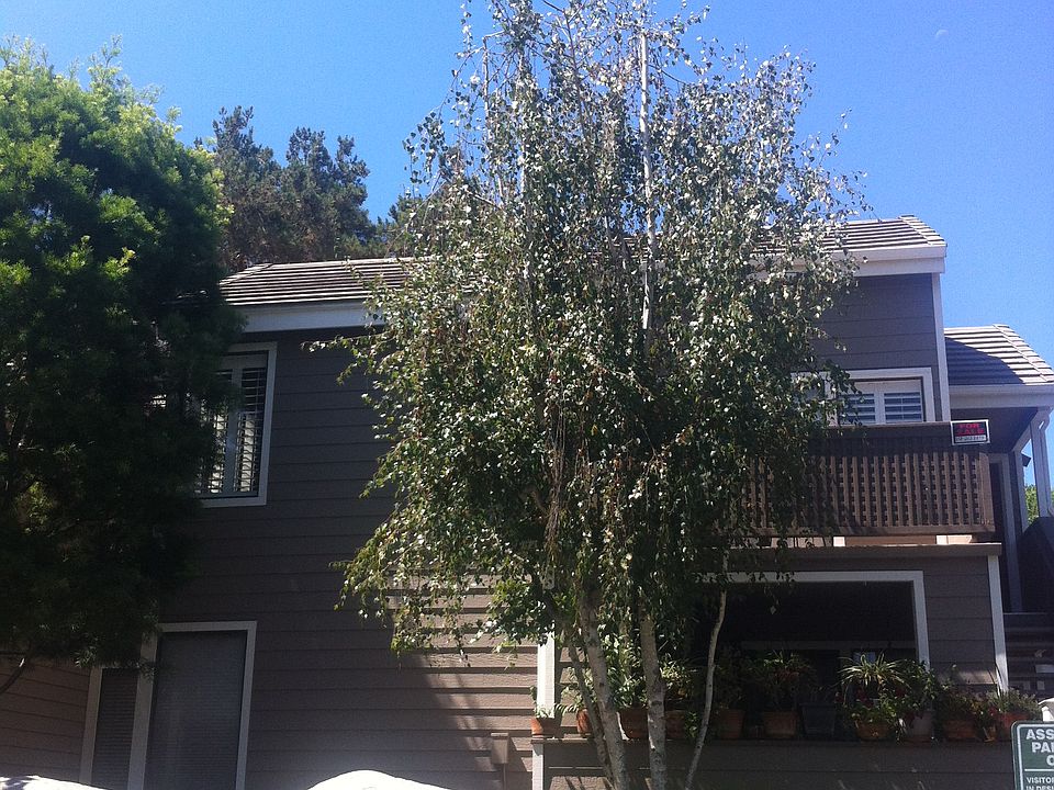 1st image of 1091 Shadowridge Dr Unit 114