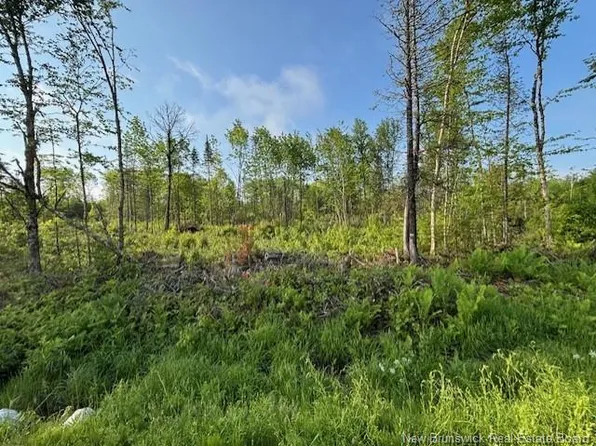 0 Upper Tower Hill Rd, Saint David, NB E5A 0A8