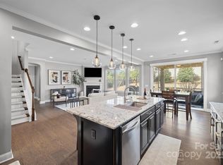 18304 Studman Branch Ave, Charlotte, NC 28278