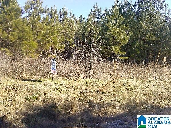 2nd image of LOT Pope Rd #0