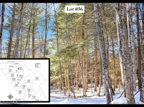 56 CARRIAGE Road, Chestertown, NY 12817