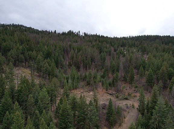 5th image of Bent Pine Ln
