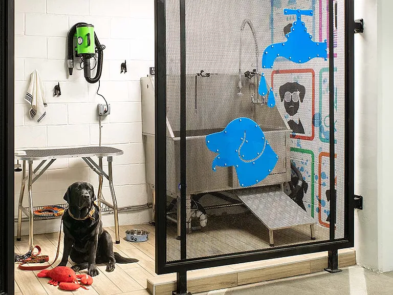 Apartment community pet washing station at Griffis North Union in Denver, Colorado.