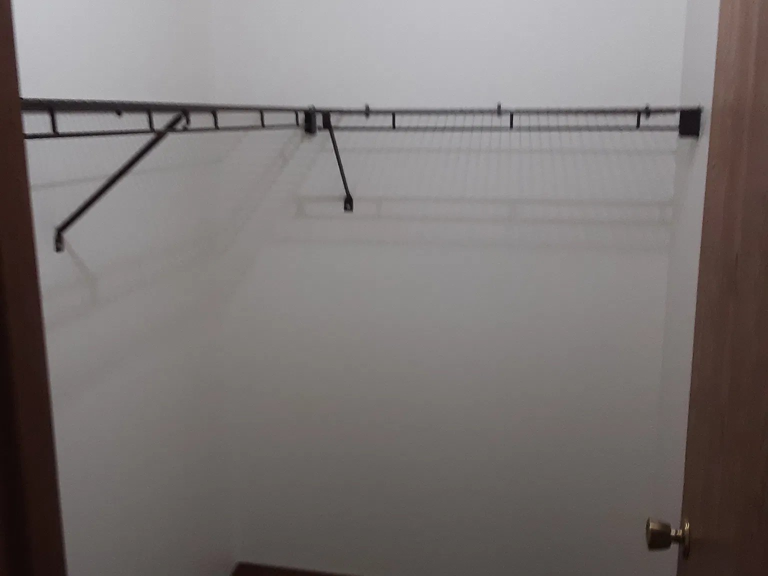 2 bed, 800 sqft, $1,100 — Photo 3