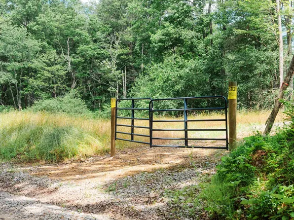 Eagles Nest Rd, Bruceton Mills, WV 26525