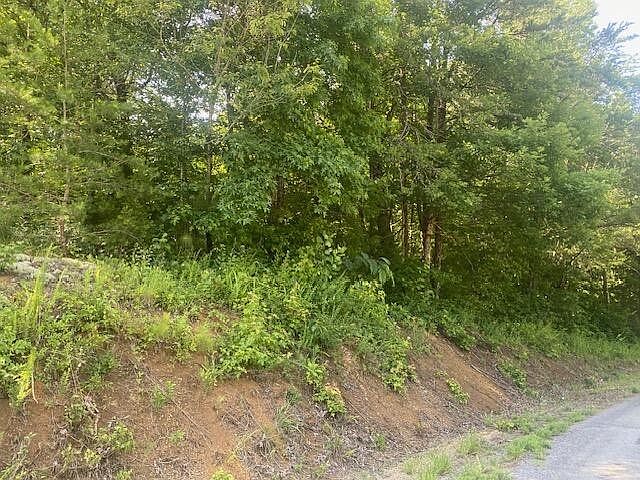 2nd image of 1 County Road 477 Lot 1