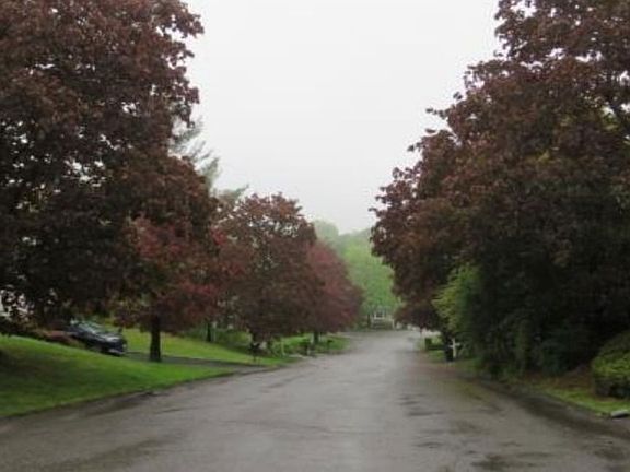 Exterior Neighborhood (street photo)