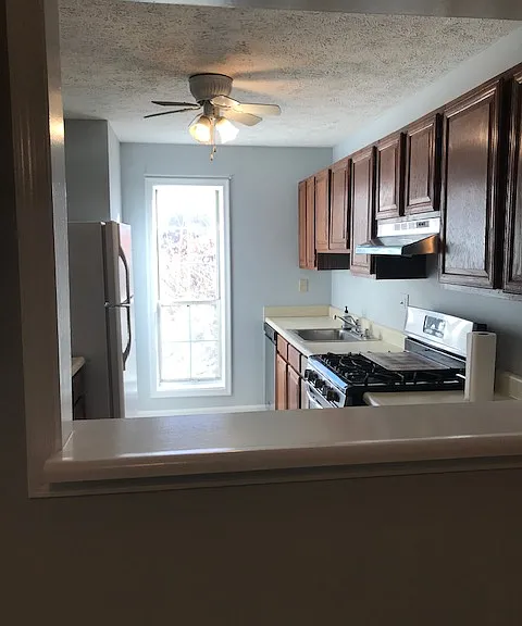 11961 Cardamom Dr — Photo 8