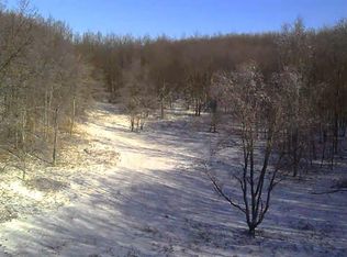 135th Ave, Leroy, MI 49655