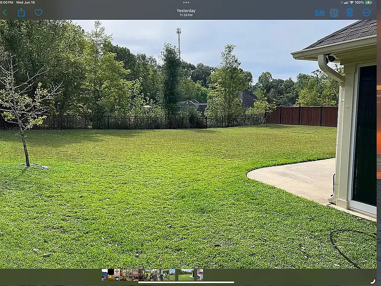 Fully grassed backyard.