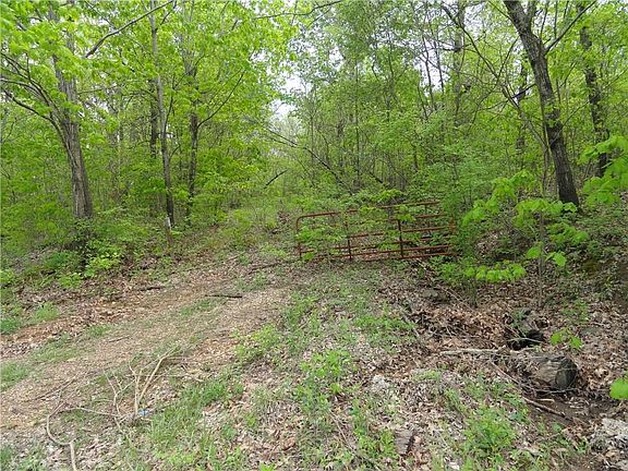 2nd image of Lake Sequoyah Dr