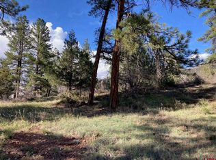 LOT Marys Rd #B, Ridgway, CO 81432
