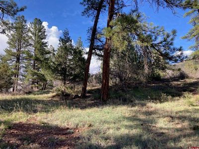 Lot B Mary's Road, Ridgway, CO, 81432
