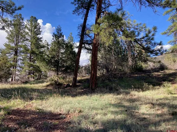 Lot B Mary's Road, Ridgway, CO 81432