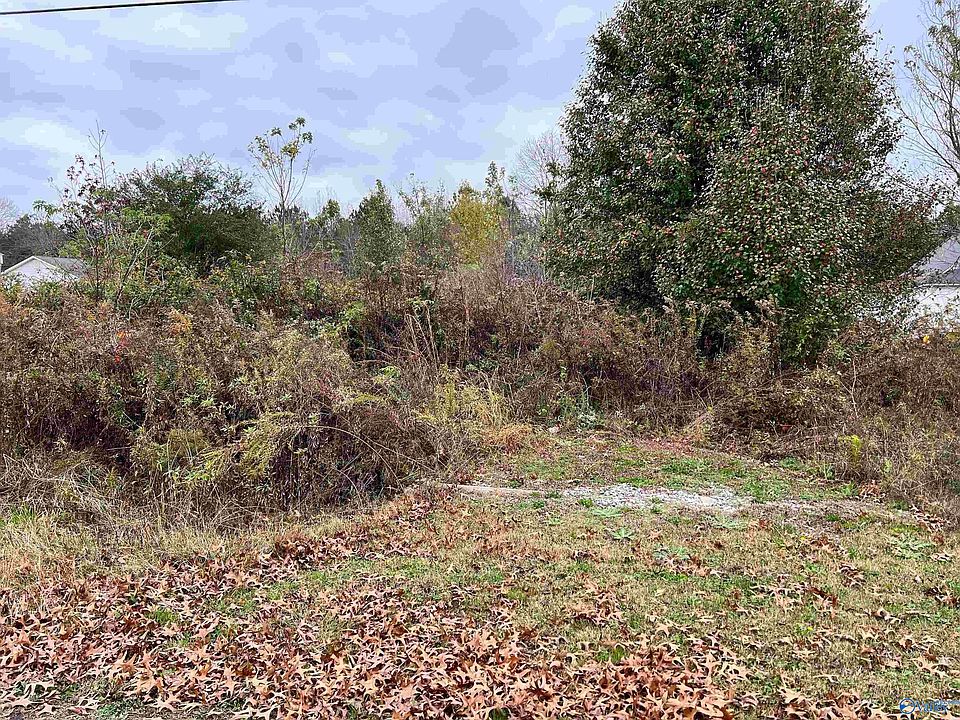 2nd image of 105 Razzway Cir