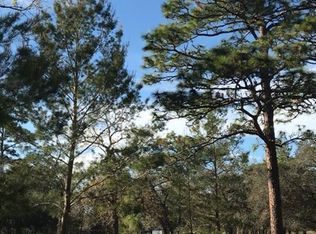 12380 Redrose Ave, Weeki Wachee, FL 34614