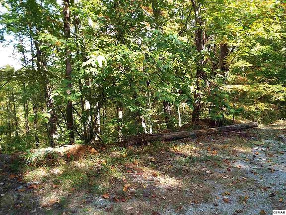 5th image of 12 Emerald Springs Loop Lot 12