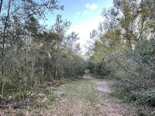 173rd Rd, Mc Alpin, FL 32062