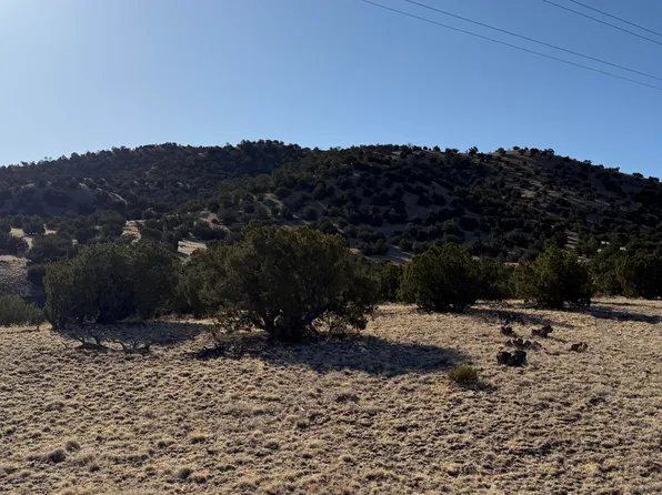 LOT 21 Pinon Springs Rd, Magdalena, NM 87825