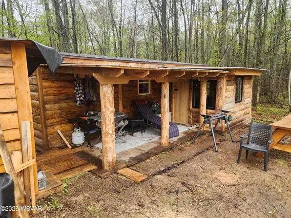 119 Tuffy Rd, Shunk, PA 17768