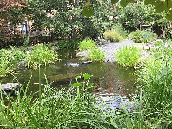 Koi Pond right outside your fenced yard