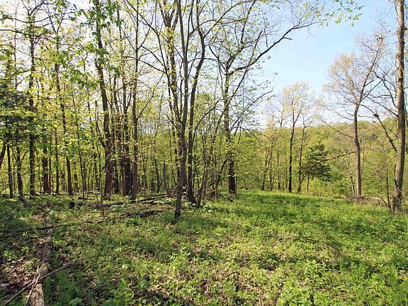 4th image of LOT 33 Desoto St