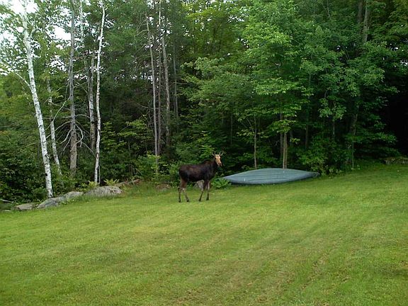 3rd image of 00 Hidden Acres Drive #30.1 & 30.2