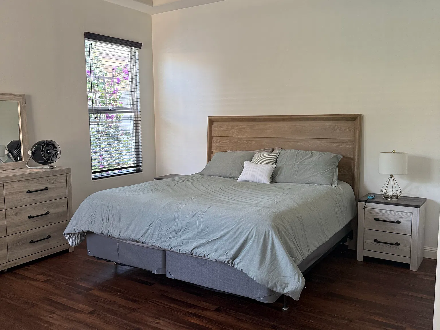 1 bed, 350 sqft, $900 — Photo 1