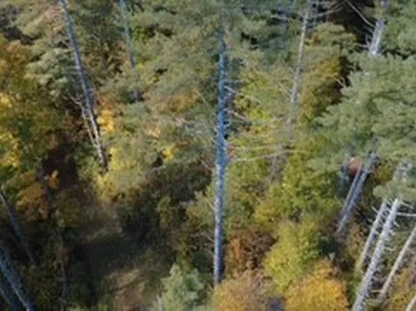 10 Lake Breeze Drive, Cullowhee, NC 28723