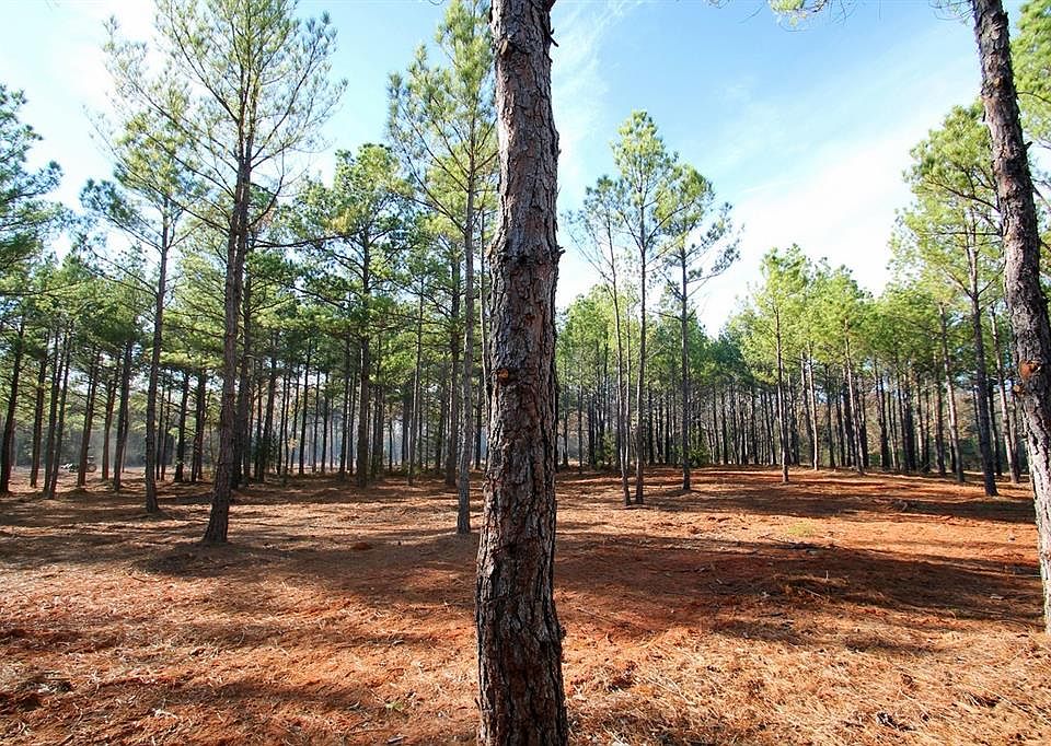 1st image of 15079 E Texas State Hwy #11