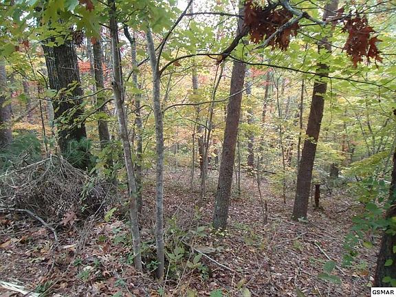 4th image of 129 Nebo Mountain Rd Lot 9&10