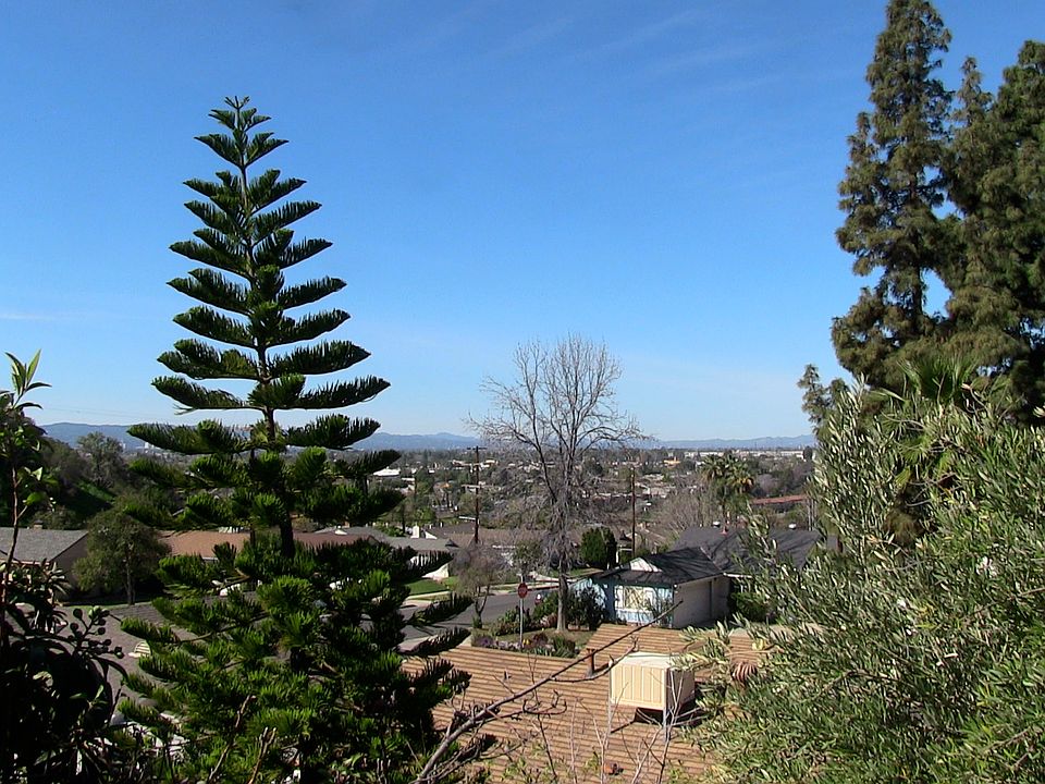 View from backyard