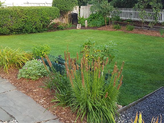 Small private backyard.